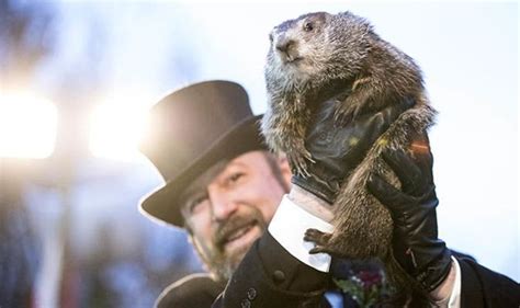 punxsutawney phil age|how old is punxsutawney phil 2022.